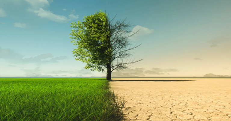 Los niveles de agua subterránea se están agotando a nivel mundial