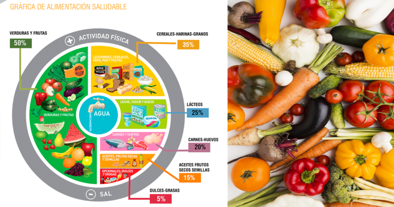 11 de Agosto Día nacional de la Nutrición